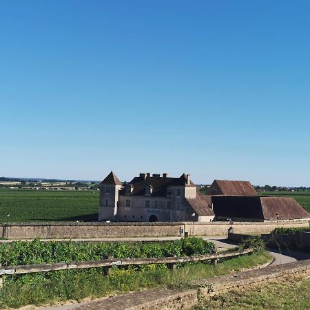 Appt Proche Des Vignes Apartment Perrigny-les-Dijon Bagian luar foto