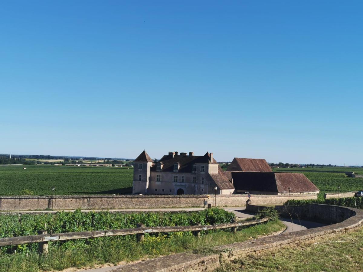 Appt Proche Des Vignes Apartment Perrigny-les-Dijon Bagian luar foto