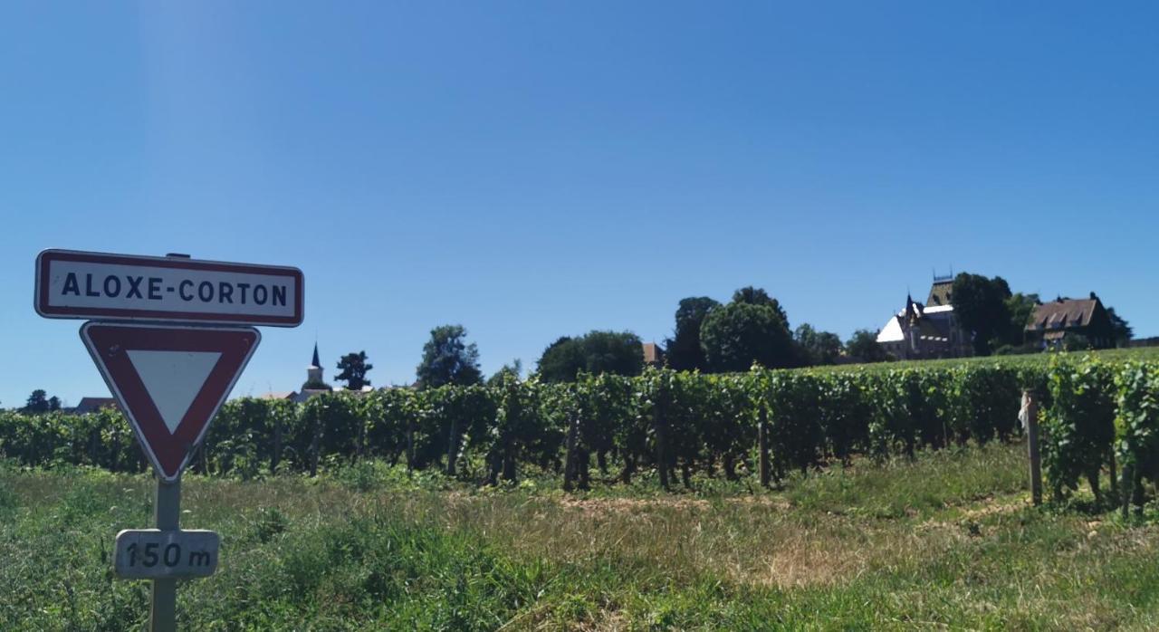 Appt Proche Des Vignes Apartment Perrigny-les-Dijon Bagian luar foto